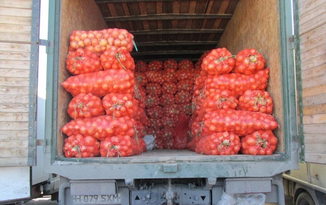 Tajikistan's Transport Ministry has created a working group to facilitate the export of early onions