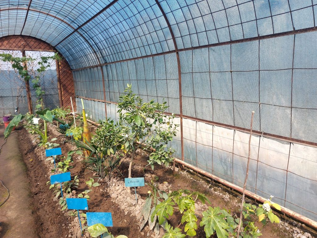 Tajik scientists grow plants to restore pastures in Rasht Valley