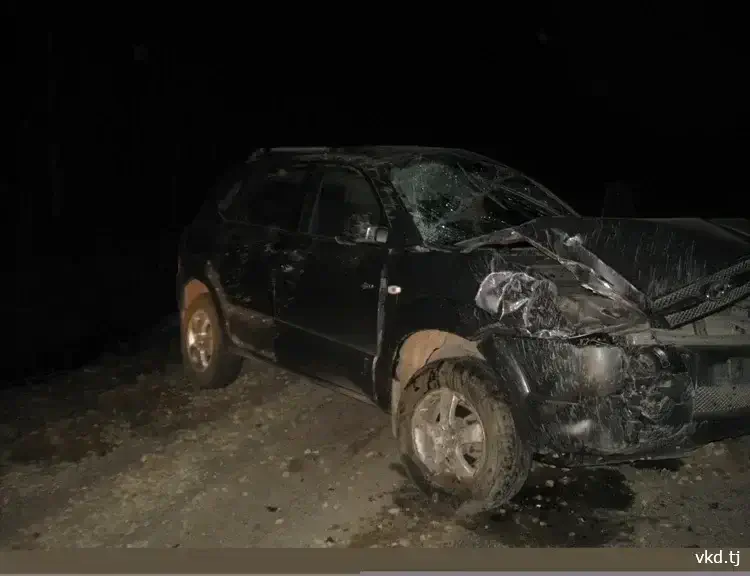 Several fatal road accidents occurred in Tajikistan in a week
