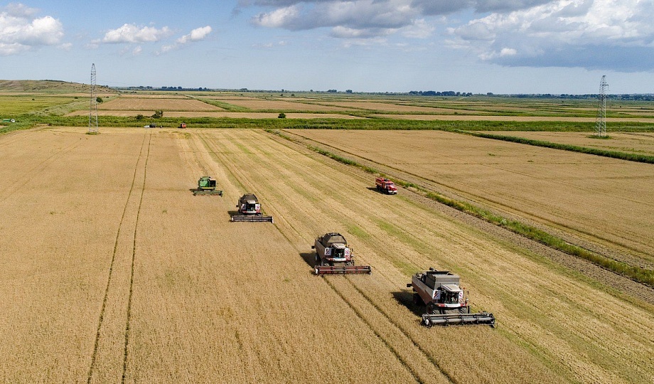 In Tajikistan, sowing of grain and leguminous crops increased by 1.7 times