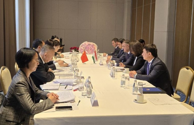 Tajikistan and China to create mechanism for reconciling customs statistics