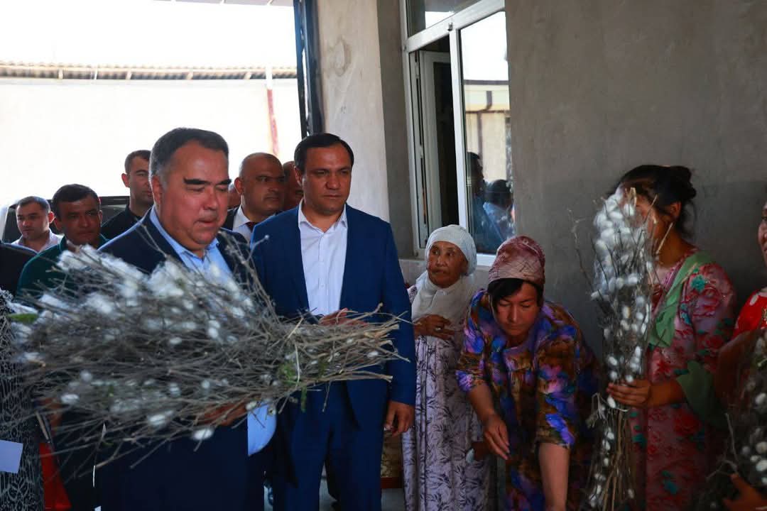 Akhmadzoda got acquainted with the state of water supply and sericulture in D. Rasulov district