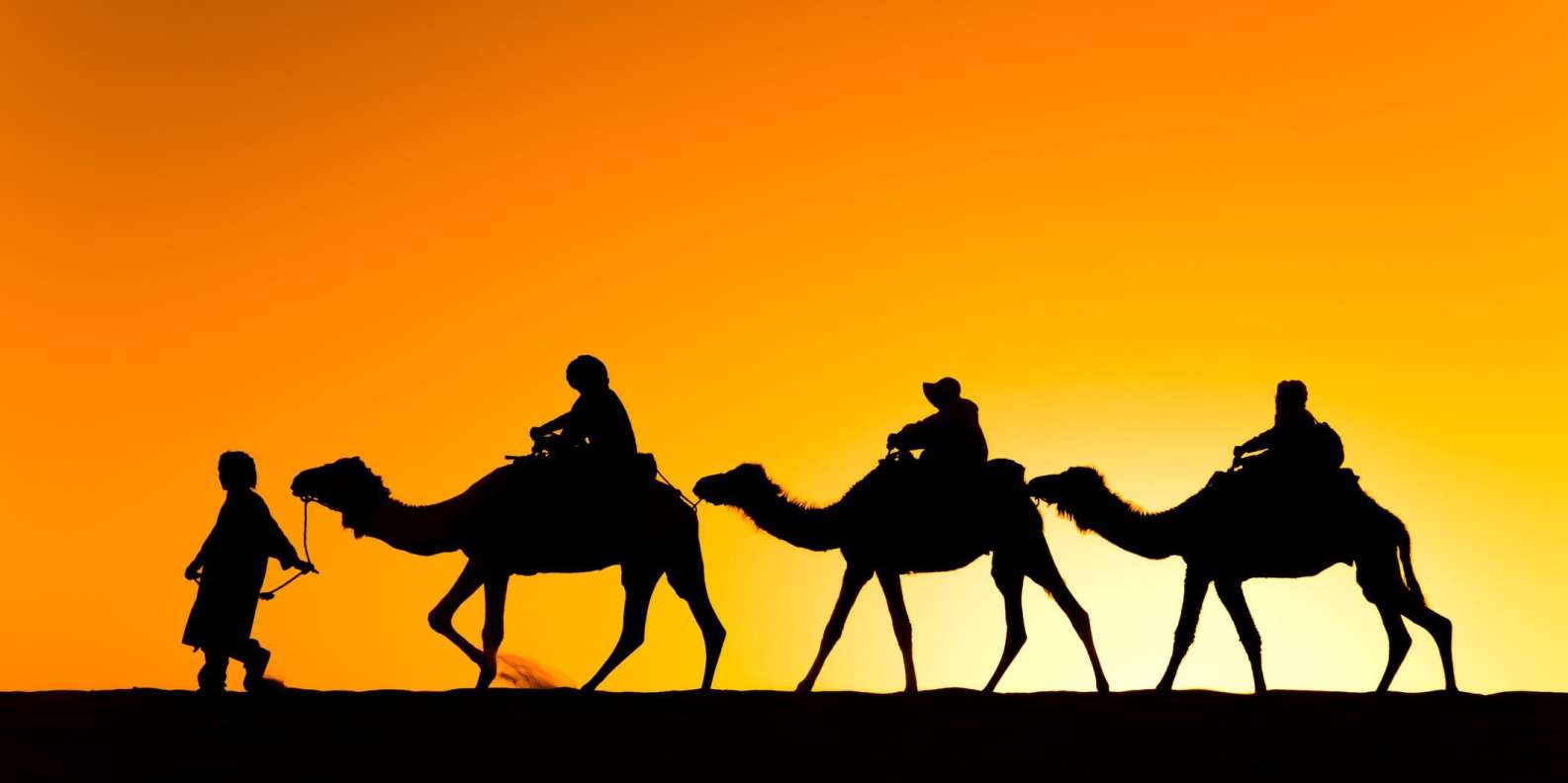 China hosts symposium on traditional cultures along the Silk Road