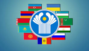 Results of the qualifying round of the CIS school Olympiad announced