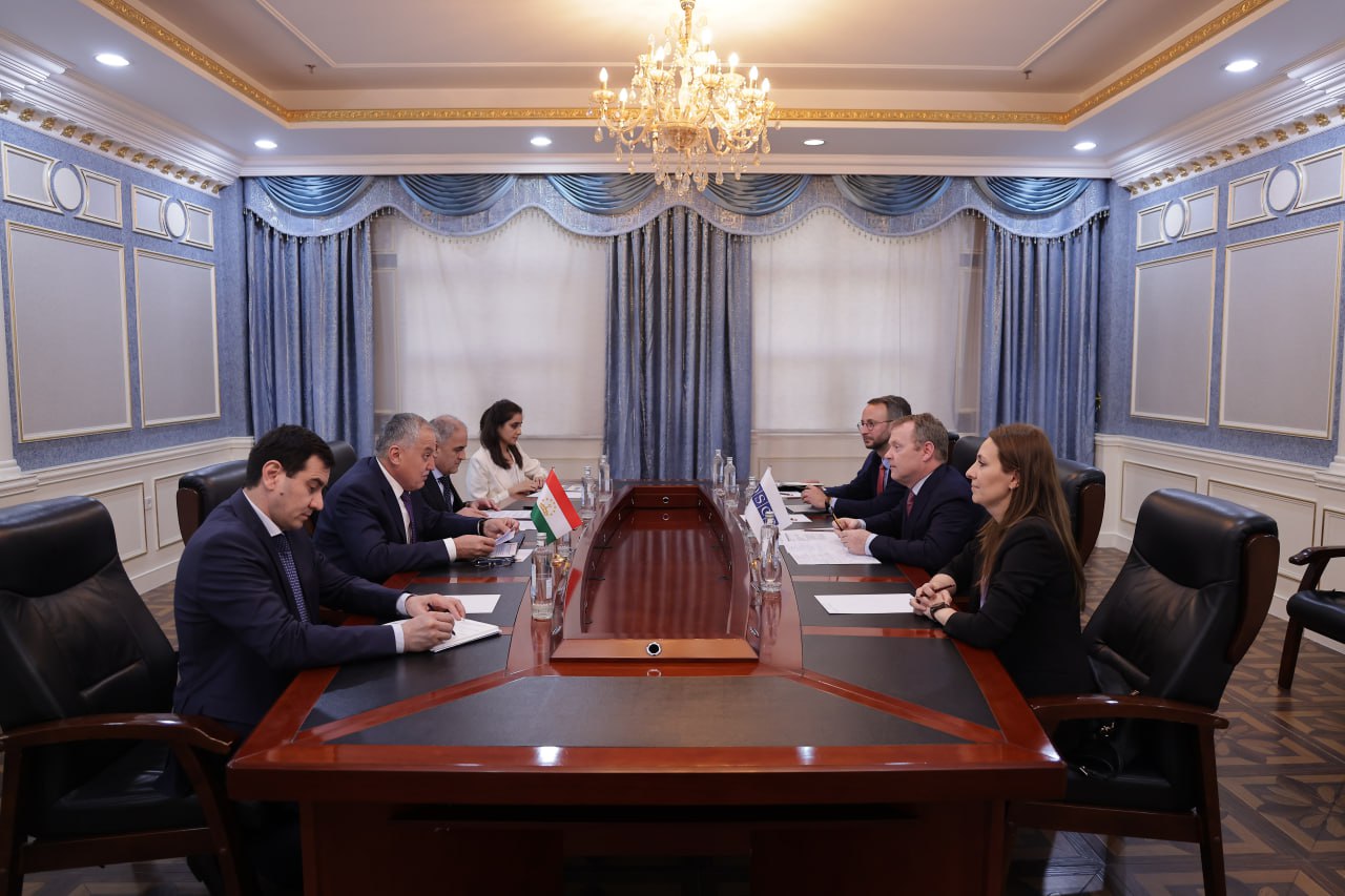 Tajikistan Foreign Minister Meets with OSCE High Commissioner in Dushanbe