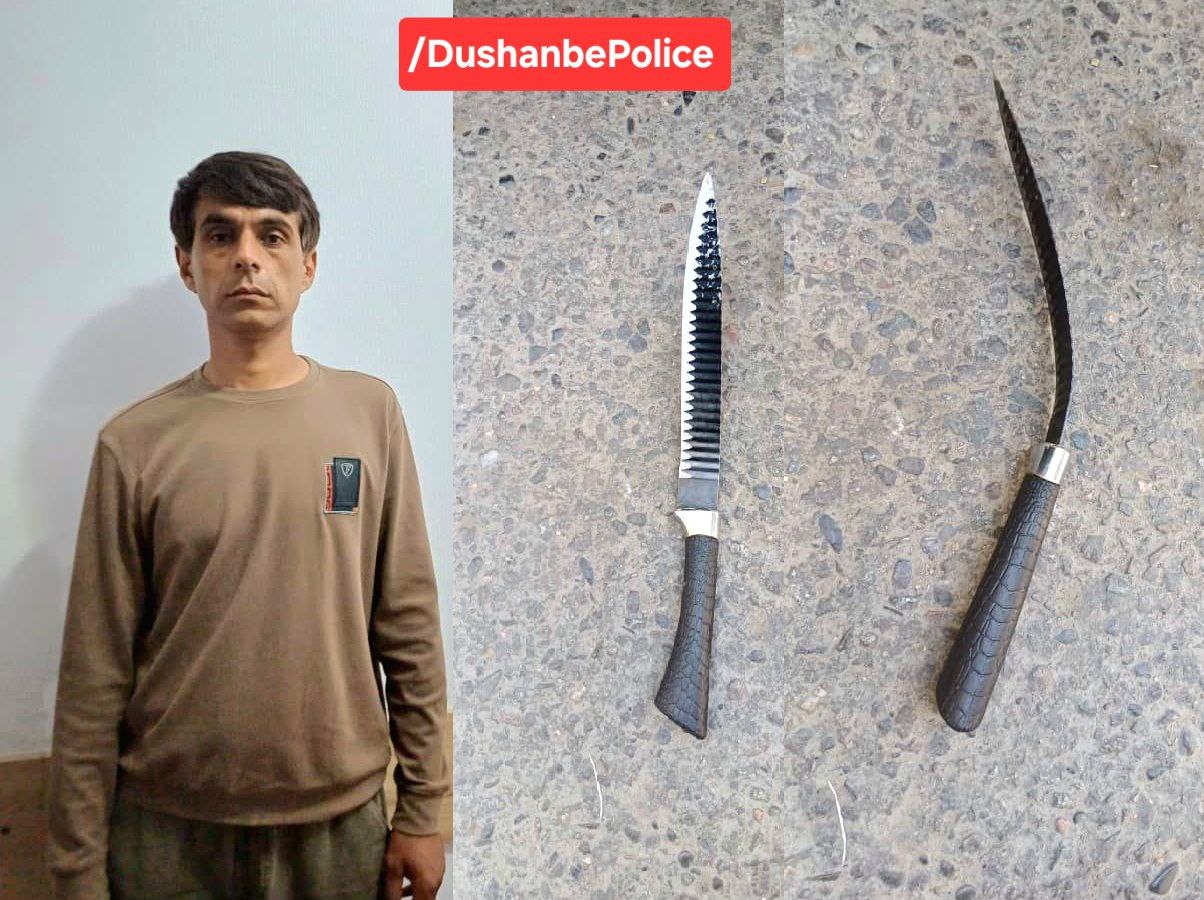 Dushanbe resident arrested for beating and stabbing his wife