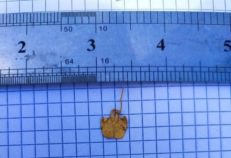 Archaeologists discover a gold earring from the Kushan era in Khatlon