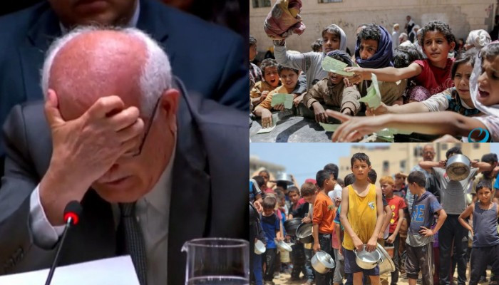Palestinian ambassador cries at UN as he describes suffering of children in Gaza