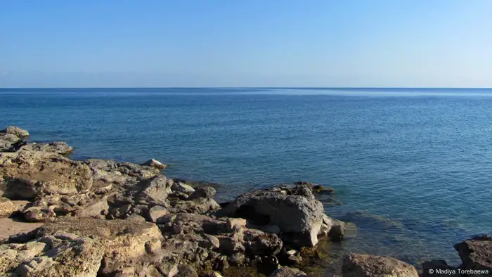 Central Asian countries agree on joint exploitation of Tajik Sea during summer period