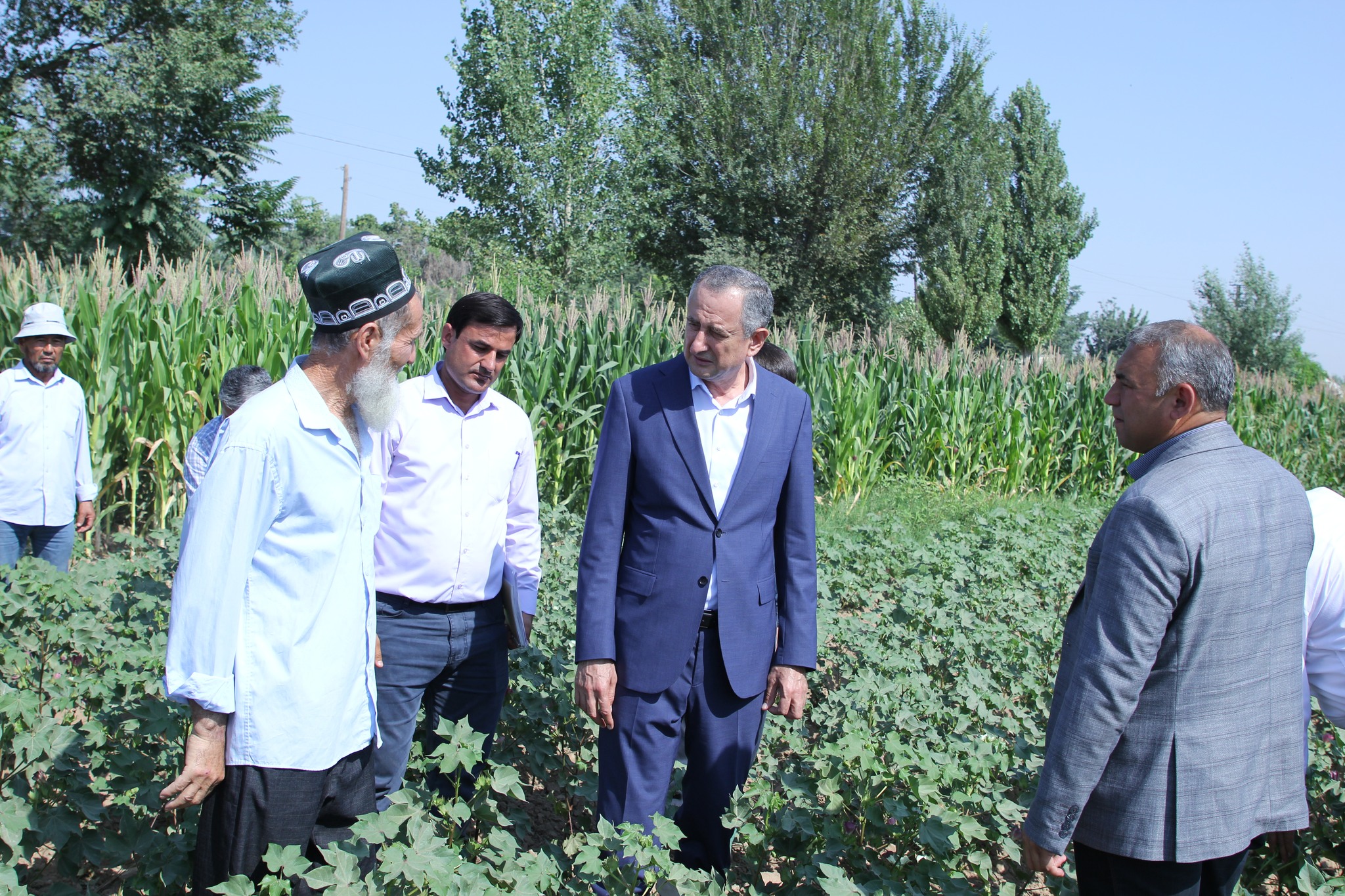 Farms are developing and new industrial facilities are being built in Shahritus