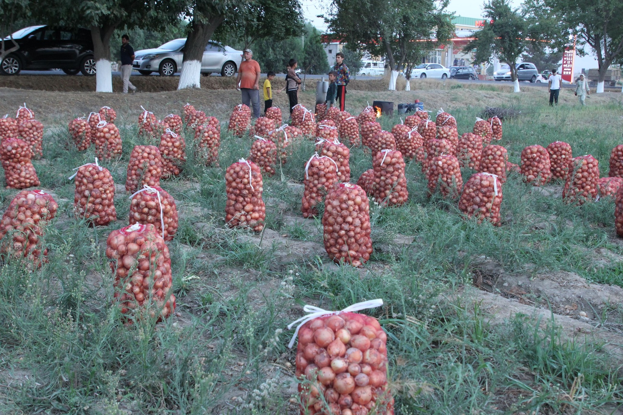 The Head of Khatlon got acquainted with the progress of the harvest and the development of cotton growing in the Vose district