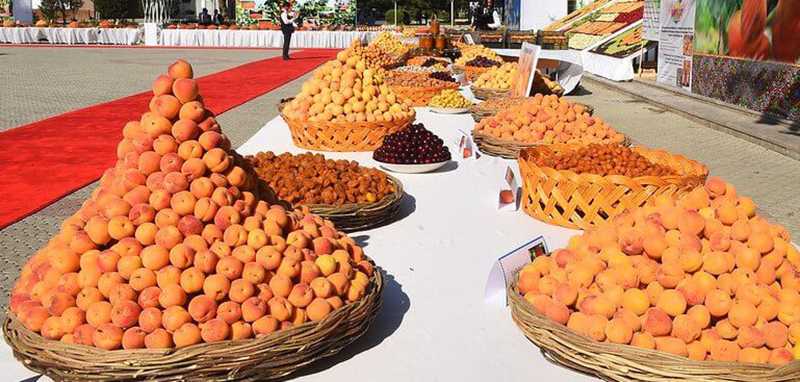 Tirgon will be celebrated with Apricot Festival in Iram Park