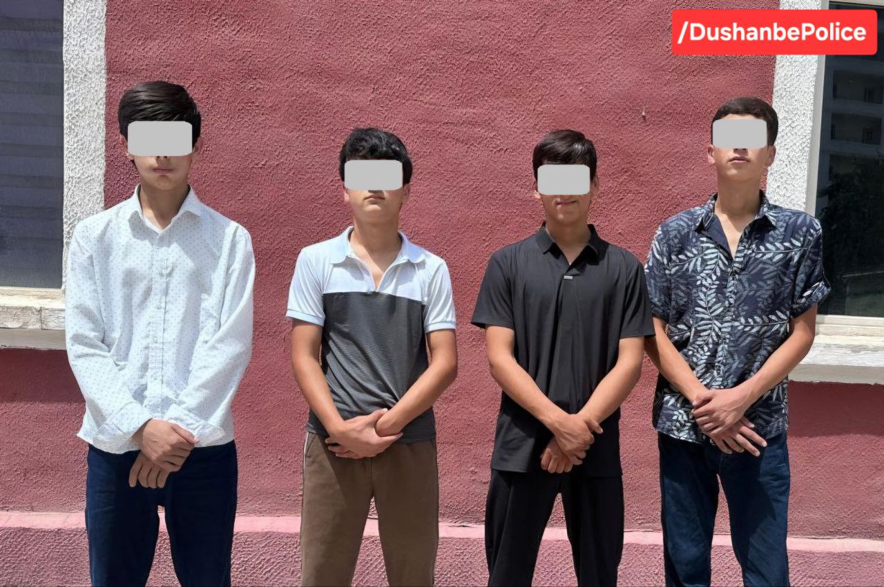Teenagers Suspected of Series of Thefts Detained in Dushanbe