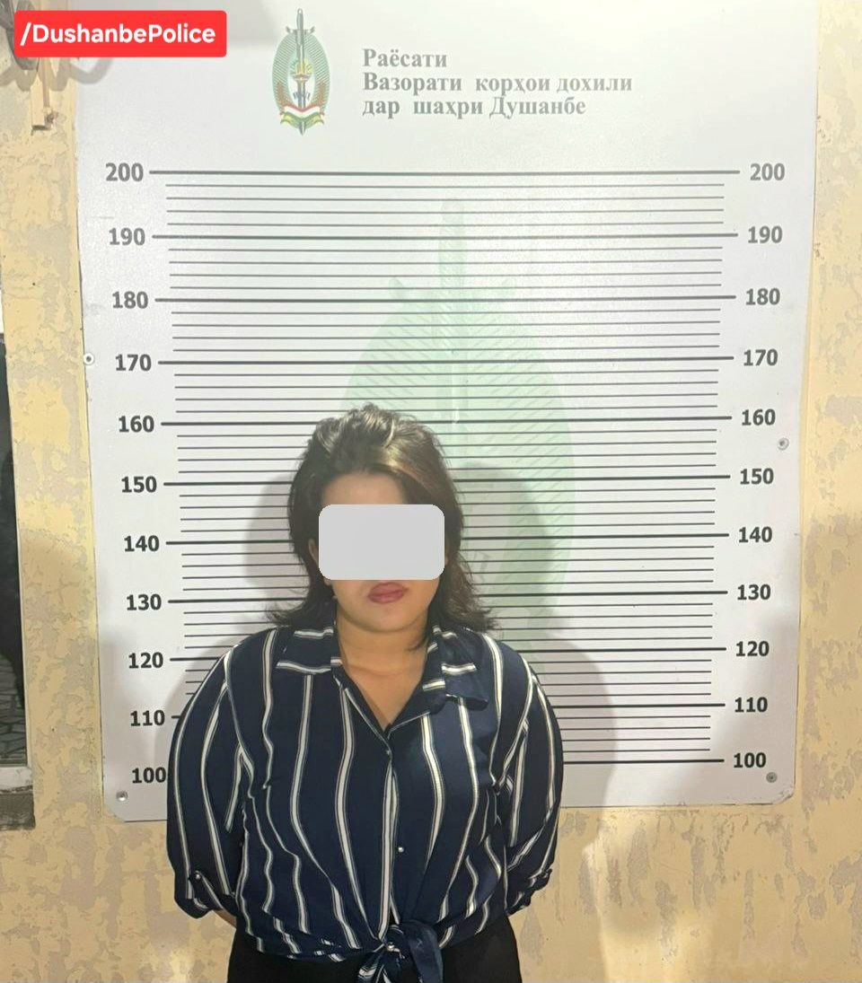In Dushanbe, a 17-year-old girl is suspected of theft and fraud