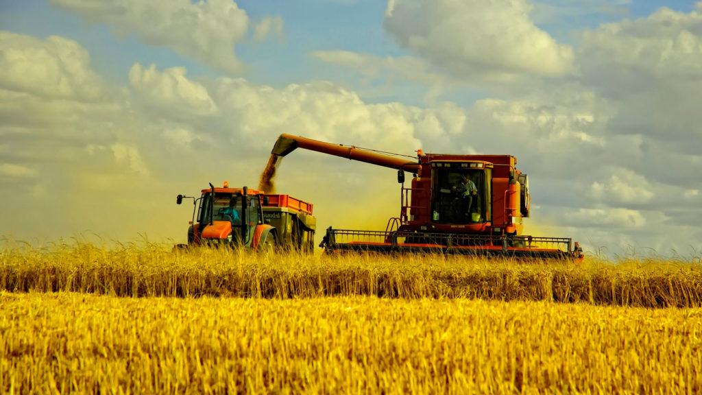 Kazakhstan Increases Grain Supplies to Tajikistan