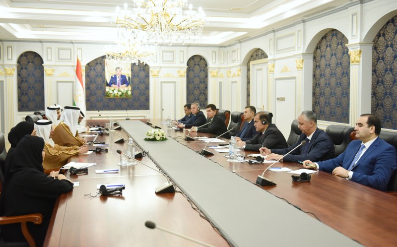 Tajik Prime Minister Meets with UAE Minister of Economy and Tourism