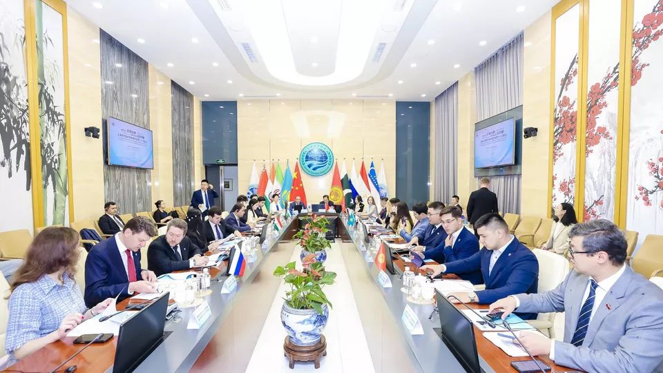 Youth organizations of SCO countries come up with new projects and initiatives