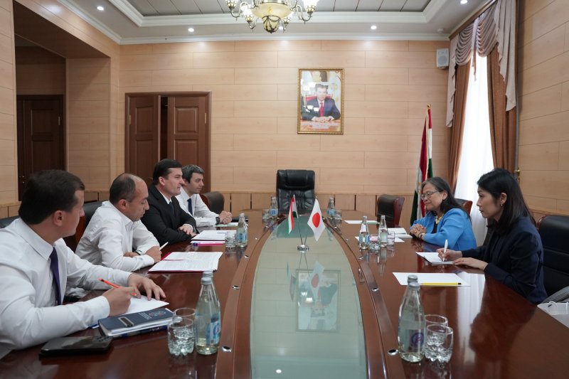 Scientists from Tajikistan and Japan have begun implementing a project to use geothermal resources