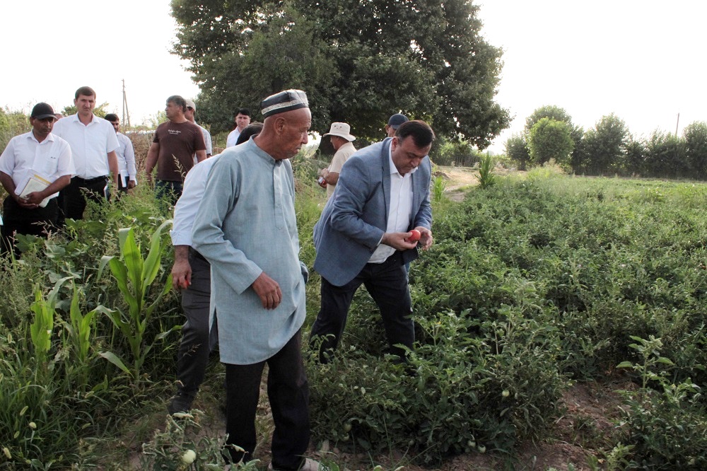 The Chairman of the city of Gissar got acquainted with the progress of agricultural work and visited a sewing factory