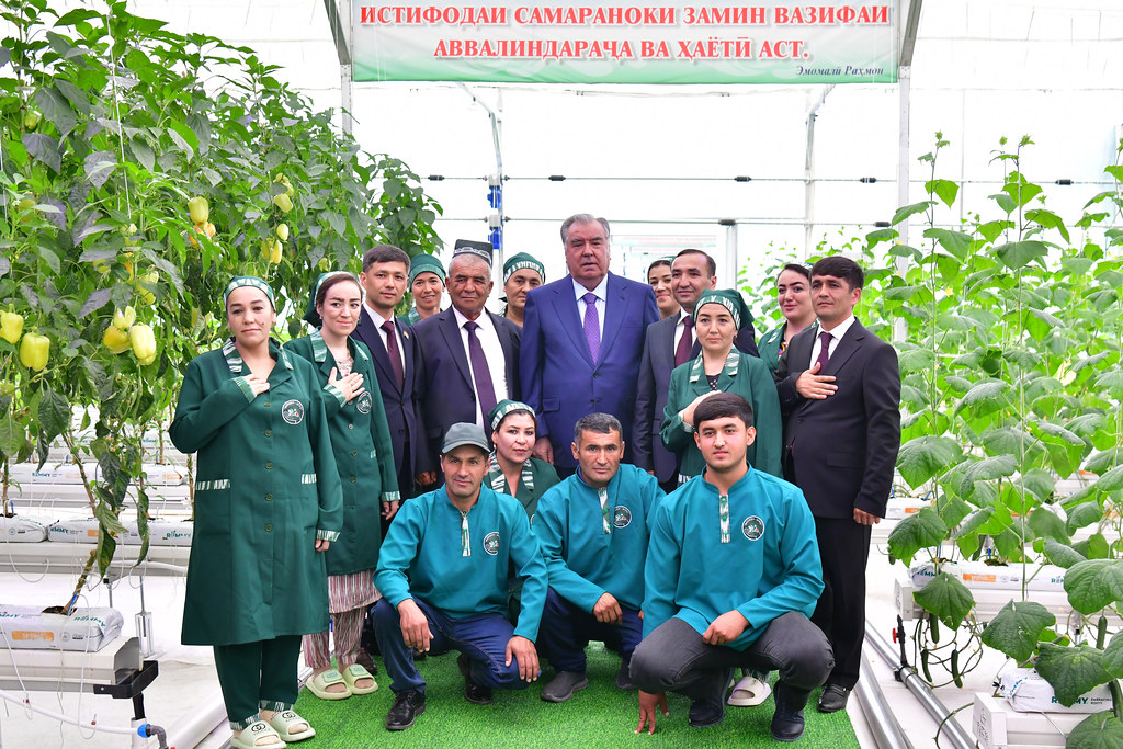 The head of state visited the Mogiyon-Agro greenhouse in the village of Khalifa Hasan in the city of Penjikent