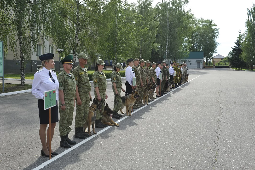 Competitions of dog handlers of the Commonwealth border agencies have started in the CIS