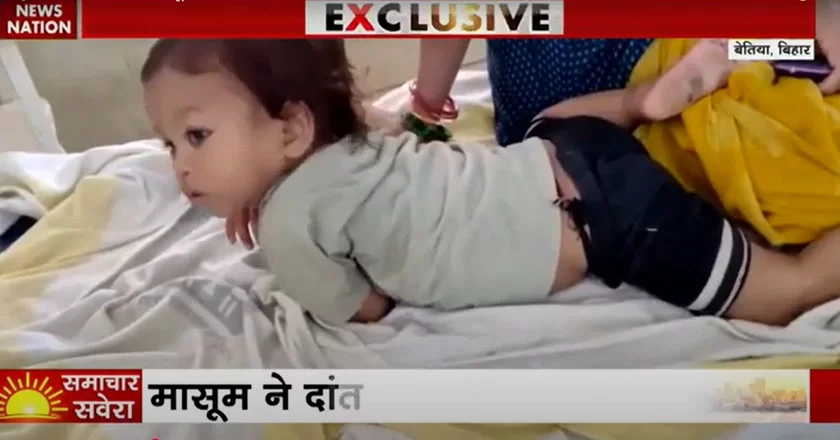 Unequal fight: in India, a one-year-old child was mauled to death by a 70-centimeter cobra