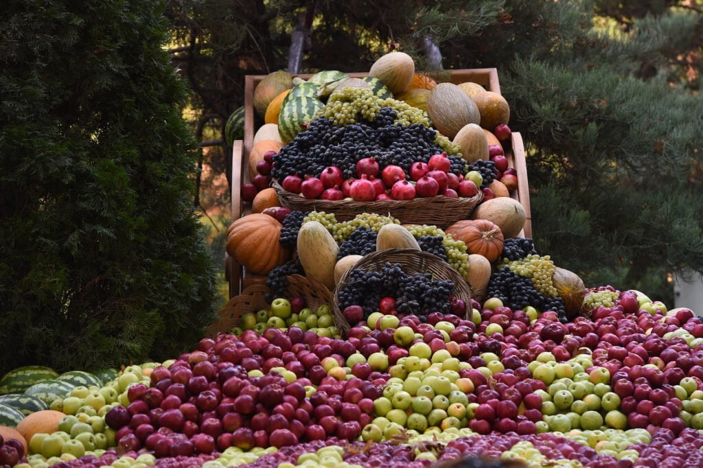 More than 537 thousand tons of vegetables have been harvested in Tajikistan since the beginning of 2025
