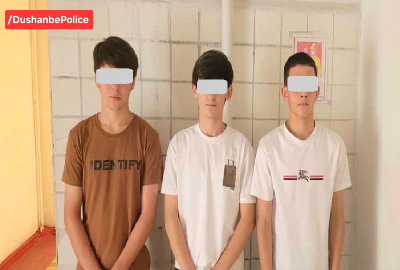 Three teenagers detained in Dushanbe on suspicion of series of thefts