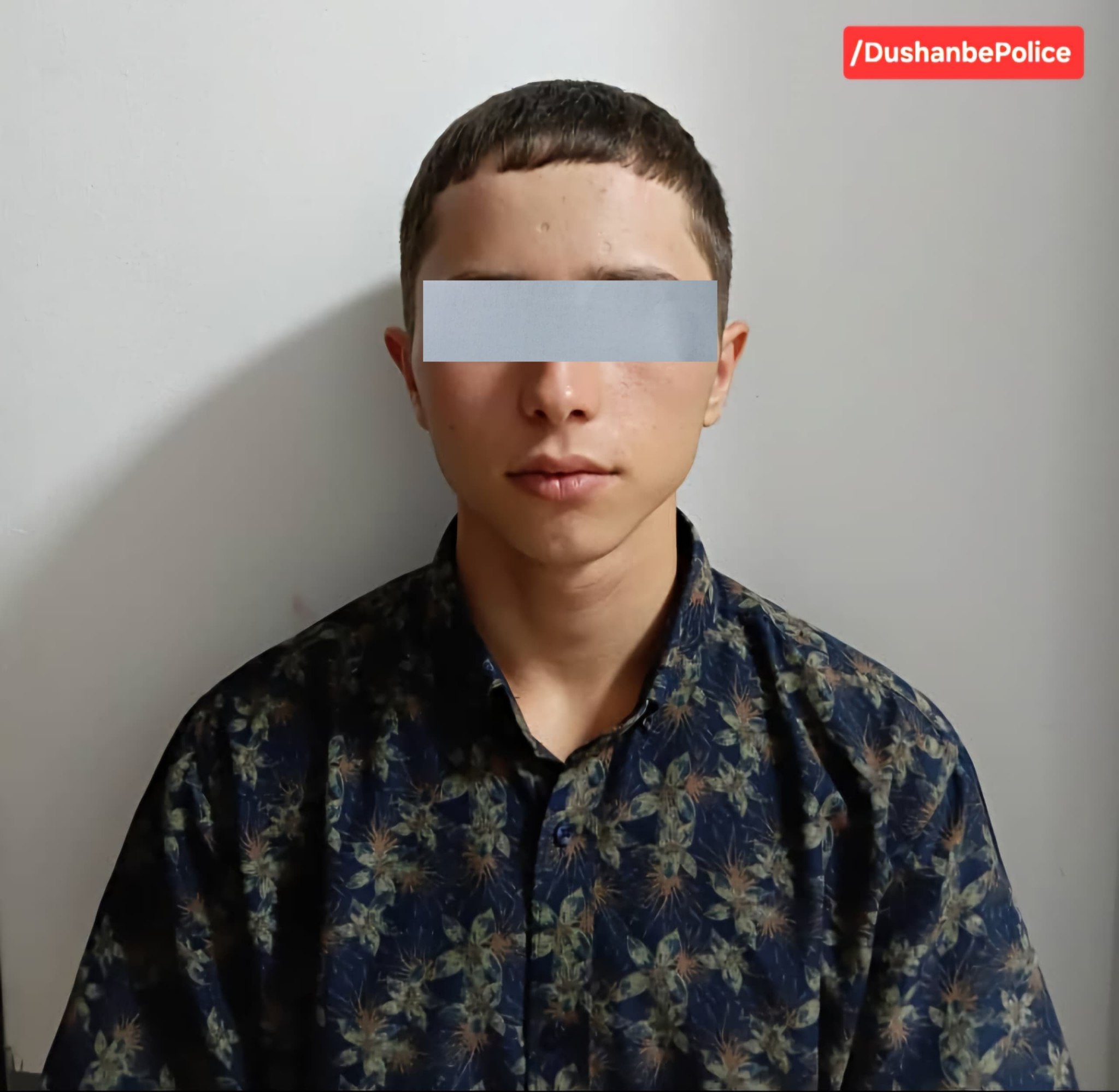 16-year-old suspect in mobile phone theft detained in Dushanbe