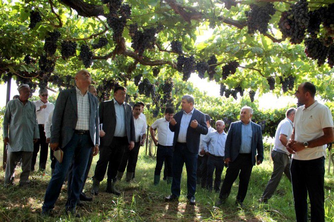 Deputy Prime Minister of Tajikistan assessed the progress of agricultural work in Gissar