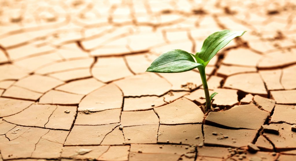 UN: New report warns of massive impact of drought on people and economy