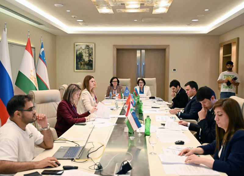 The next meeting of the CIS Youth Affairs Council was held in Gabala (Azerbaijan)
