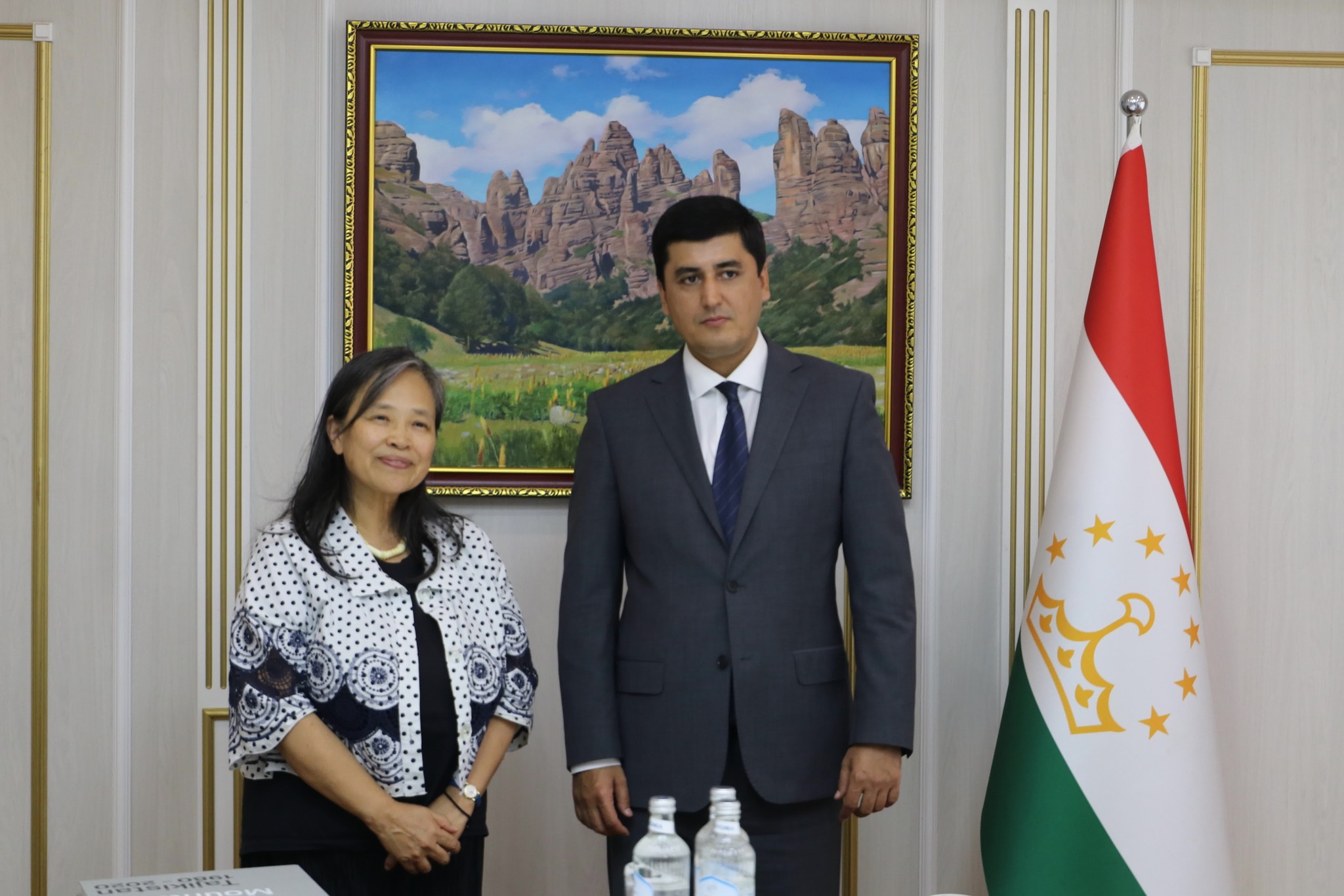 Tajikistan and Japan discussed environmental cooperation in Dushanbe.