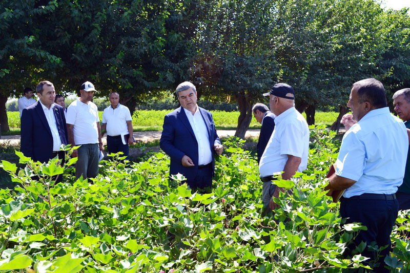 The Deputy Prime Minister of Tajikistan inspected the re-sowing of cotton in the Matcha district.