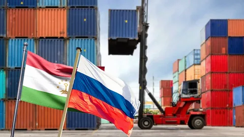 Trade turnover between Tajikistan and Russia increased by 11% in six months.