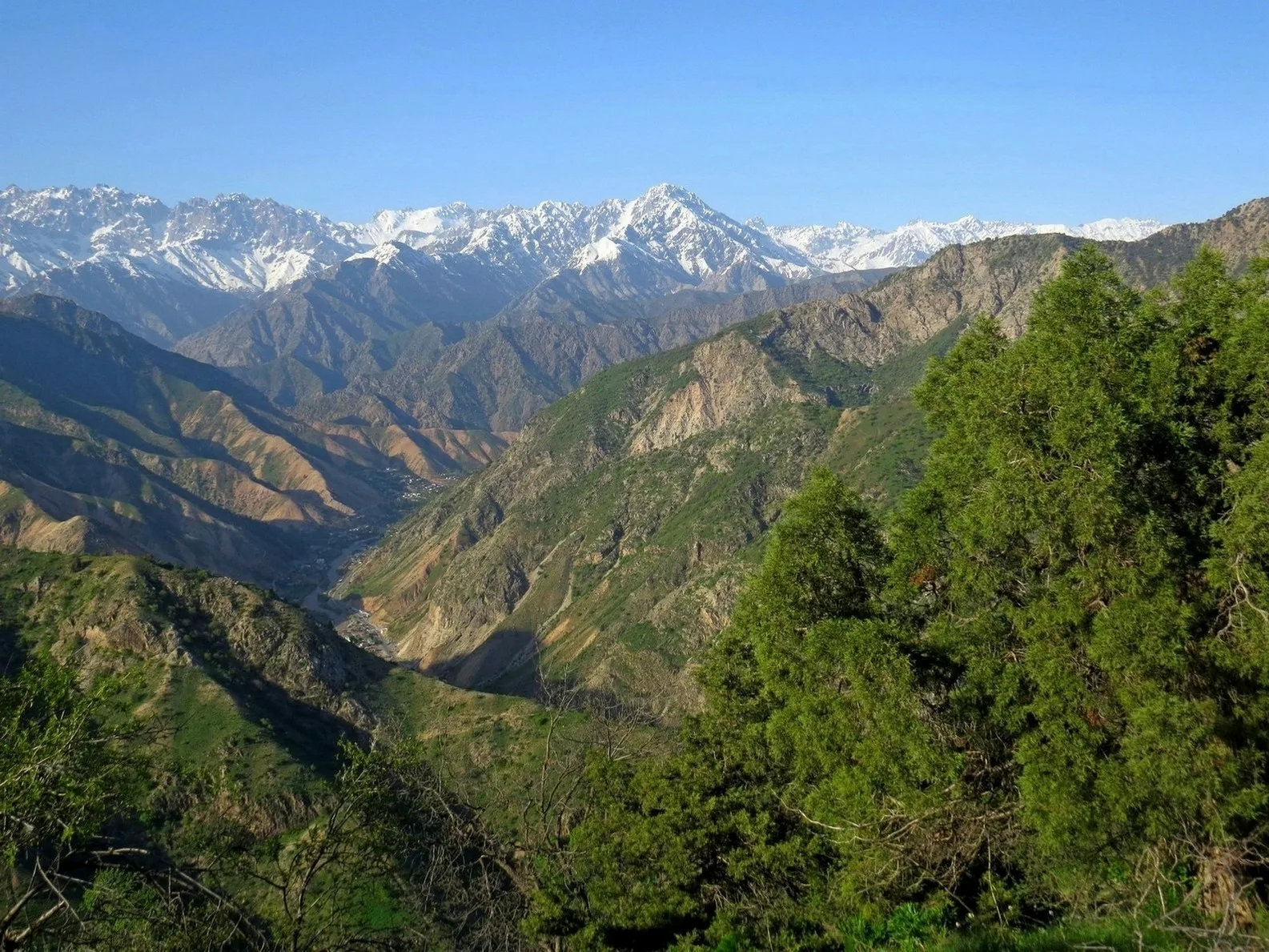 In Tajikistan, scientists from CIS countries gathered for a biodiversity study workshop.