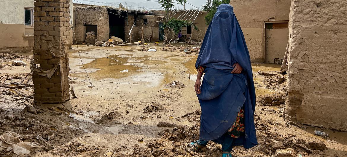 UN: Attack on women's rights in Afghanistan is 'not a temporary measure, but a new reality'