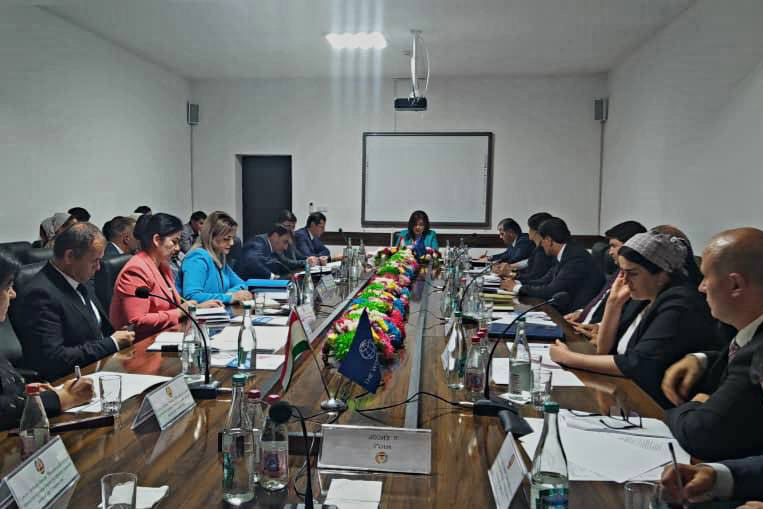 An off-site meeting of the National Council for Early Childhood Development was held in Faizabad.