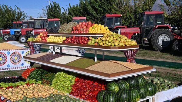 Tajikistan expands agricultural cooperation with Iran and China