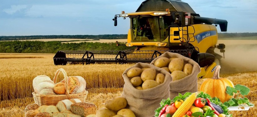 Tajikistan's agricultural production increased by 5% in 7 months