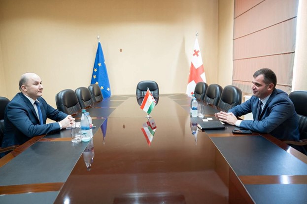 Prospects for cooperation between the regions of Tajikistan and Georgia were discussed