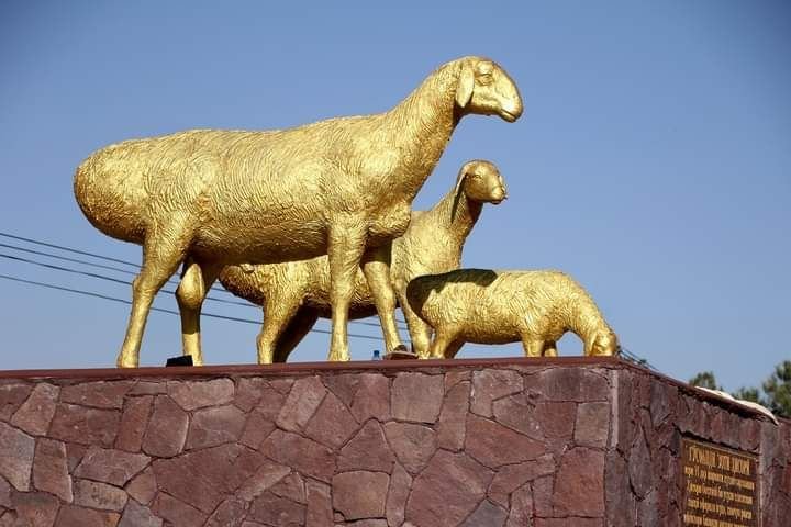 A festival and exhibition of Hissar sheep will be held in Hissar.