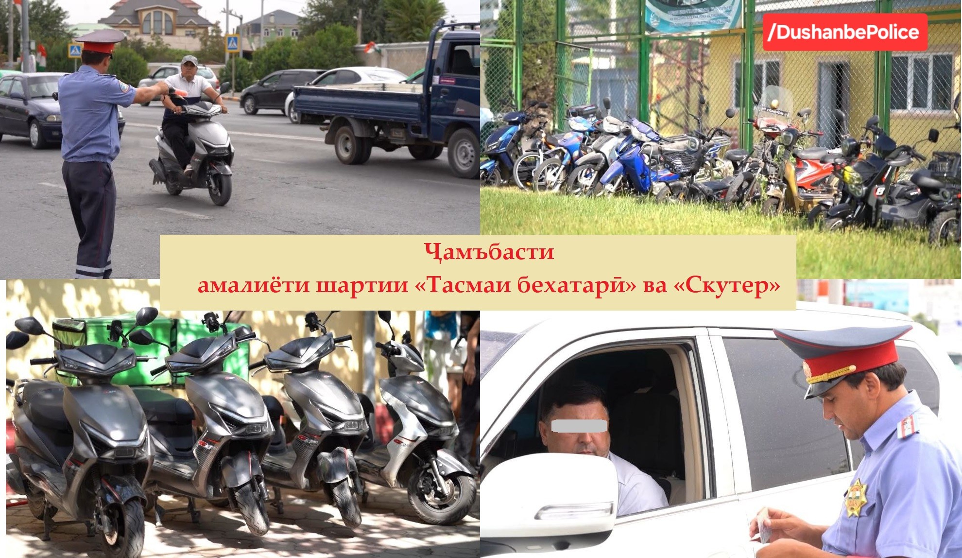Over 1,200 seat belt violators were identified in Dushanbe in 10 days.