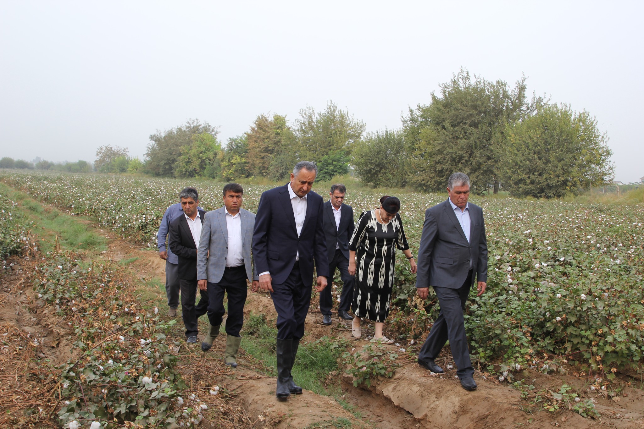 Levakant was the first in Khatlon to fulfill its cotton harvest plan.