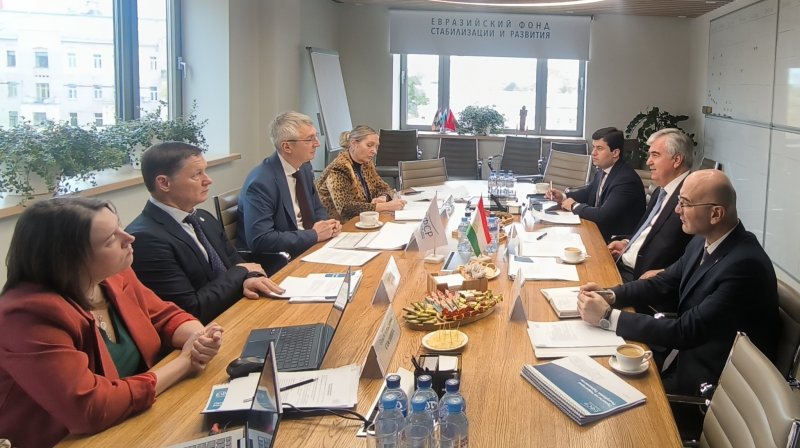 Tajikistan and the EFSD agreed to expand cooperation in priority areas