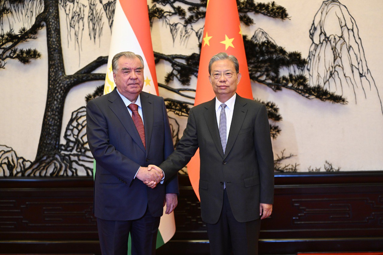 Emomali Rahmon discussed Tajikistan-China cooperation with Zhao Leji