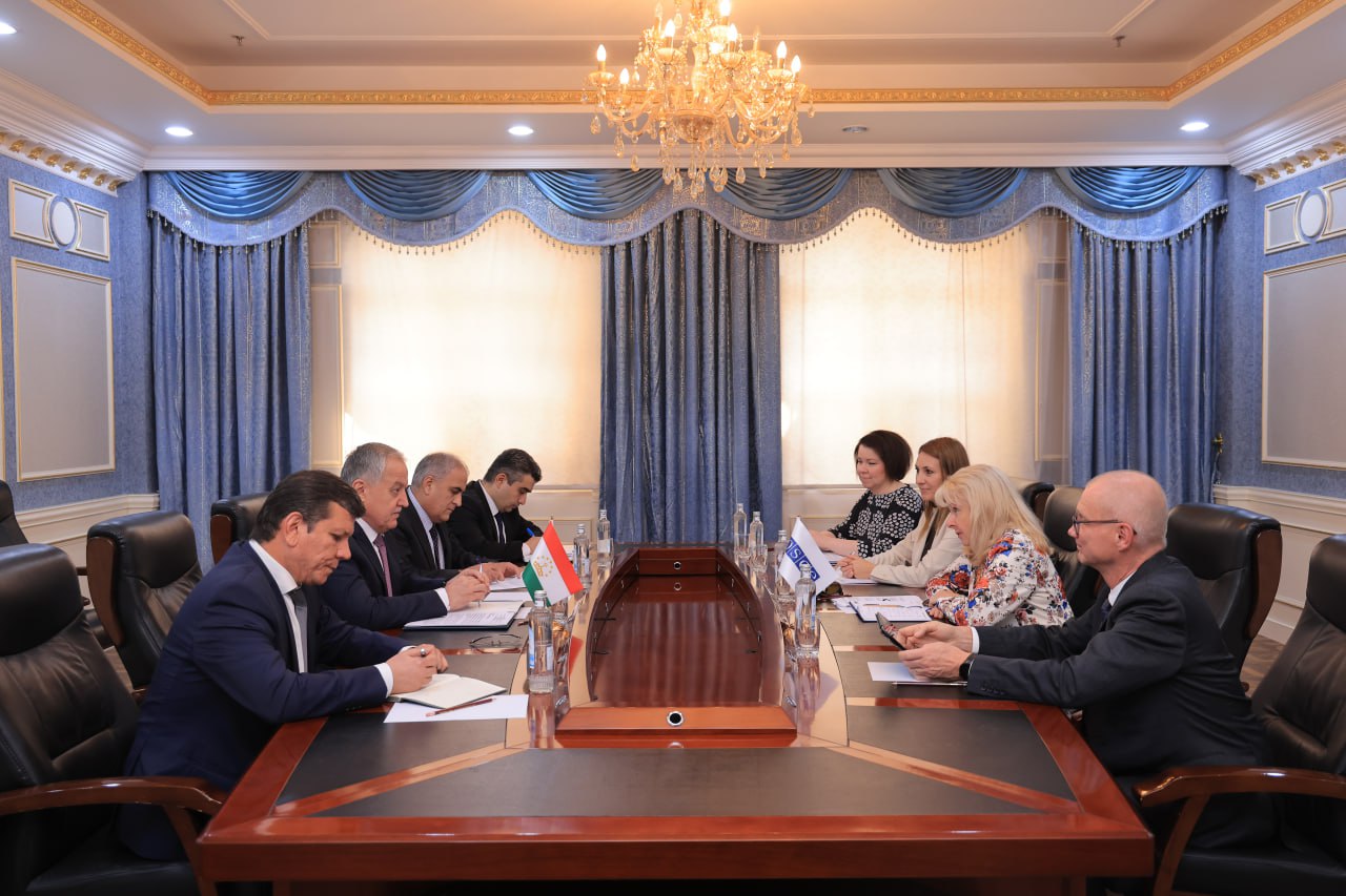 The Minister of Foreign Affairs of Tajikistan met with the OSCE Special Representative