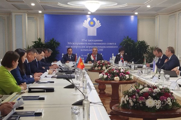 Tajikistan's Minister of Agriculture chairs the CIS Council on Agro-Industrial Complex