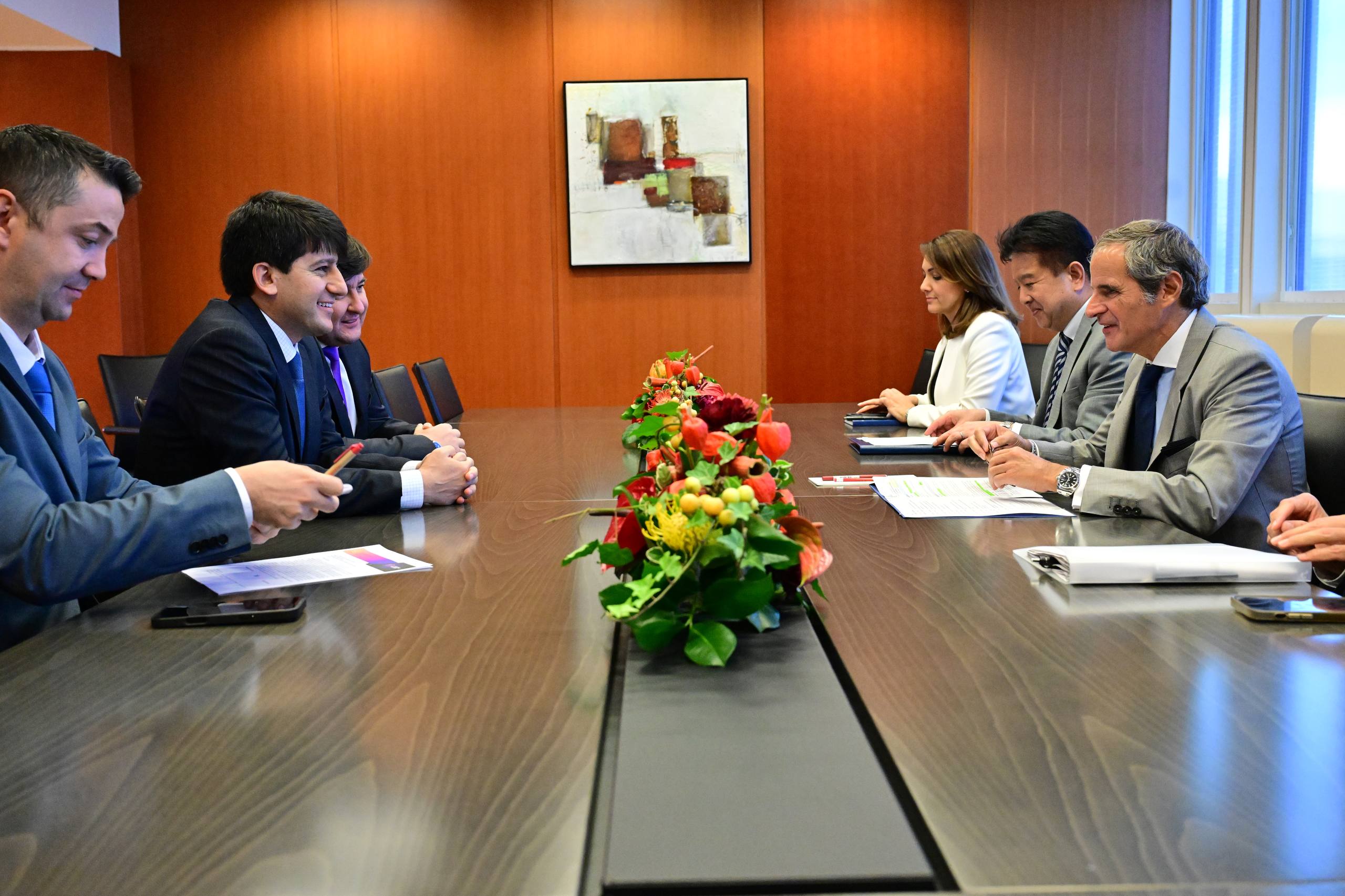 A Tajik delegation discussed new cooperation projects with the head of the IAEA.