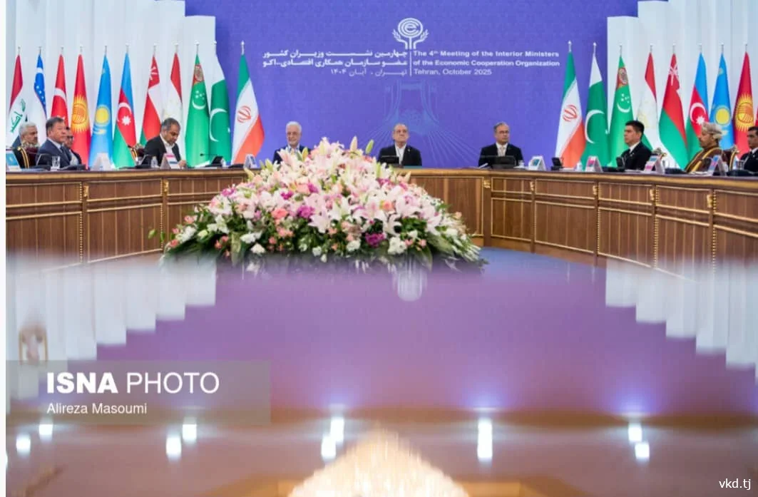 Tajikistan's Interior Minister addressed the ECO meeting in Tehran